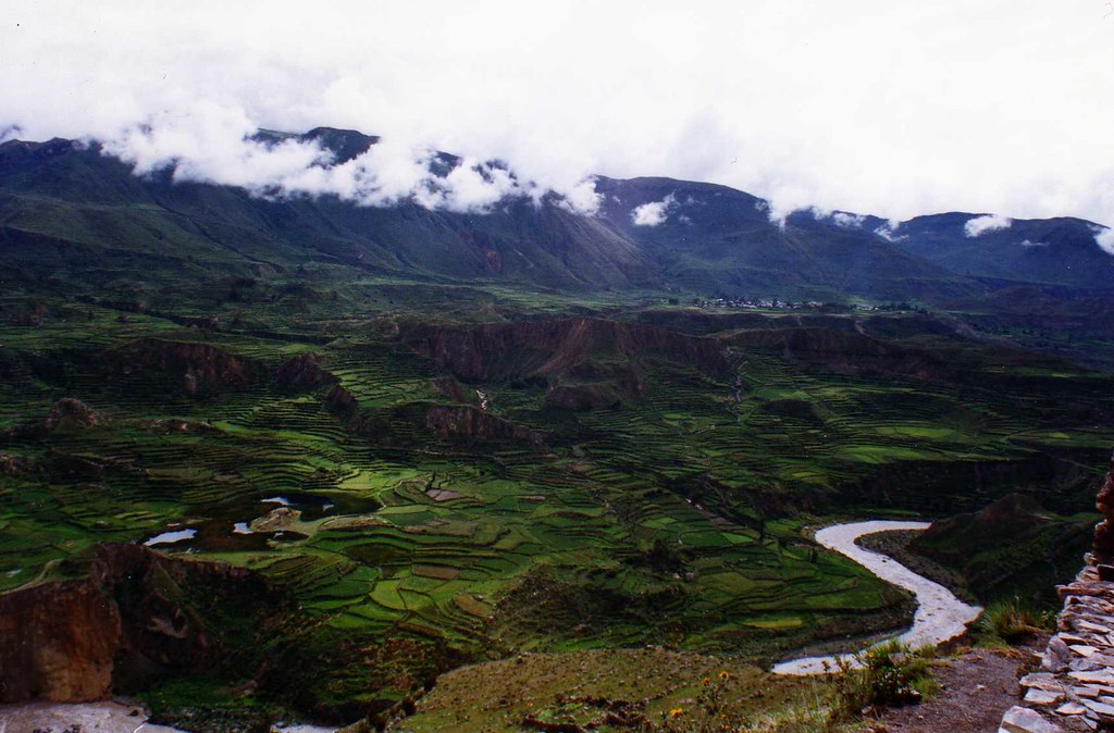 Andenes agrícolas a lo largo del Cañón del Colca